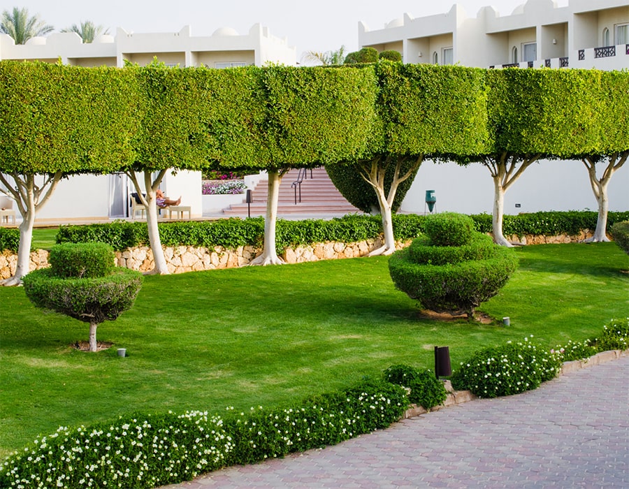 SMRLawn.com   Premier Lawn Care, Landscaping & Stone Experts in North Texas Metroplex Dallas   Fort Worth  Image of project 3 min